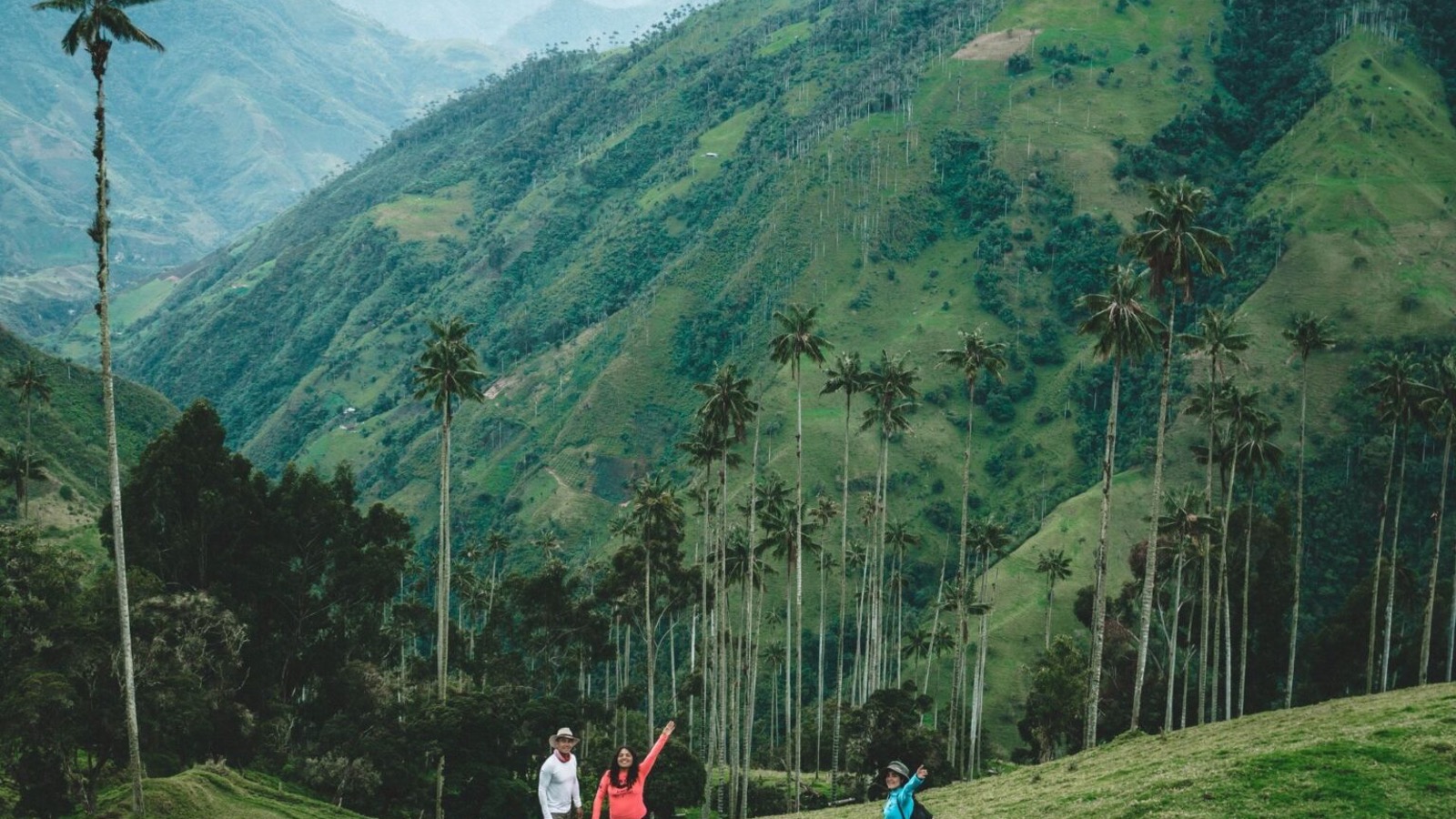 miles destinos agencia de viaje ibague , turismo, pasadias, transporte en ibagué, colombia