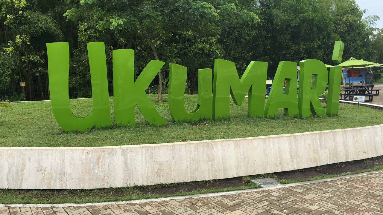 miles destinos agencia de viaje ibague , turismo, pasadias, transporte en ibagué, colombia