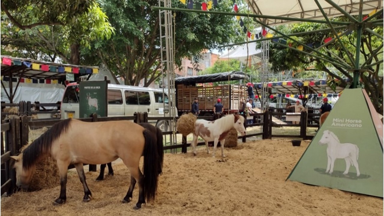 miles destinos, turismo, pasadias, transporte en ibagué, colombia