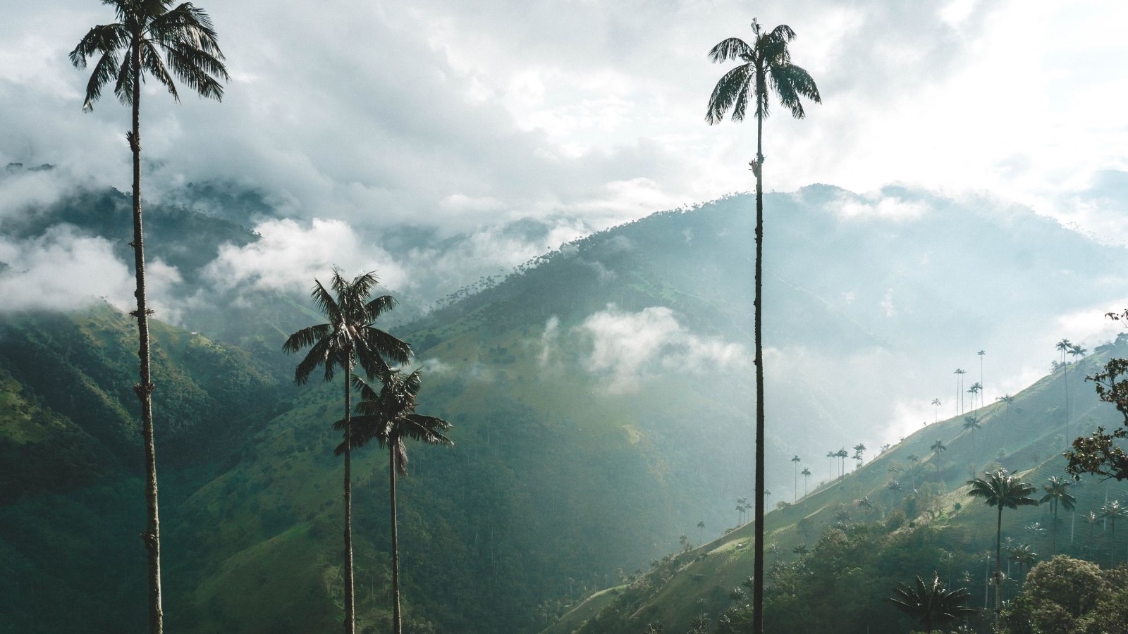 miles destinos, turismo, pasadias, transporte en ibagué, colombia