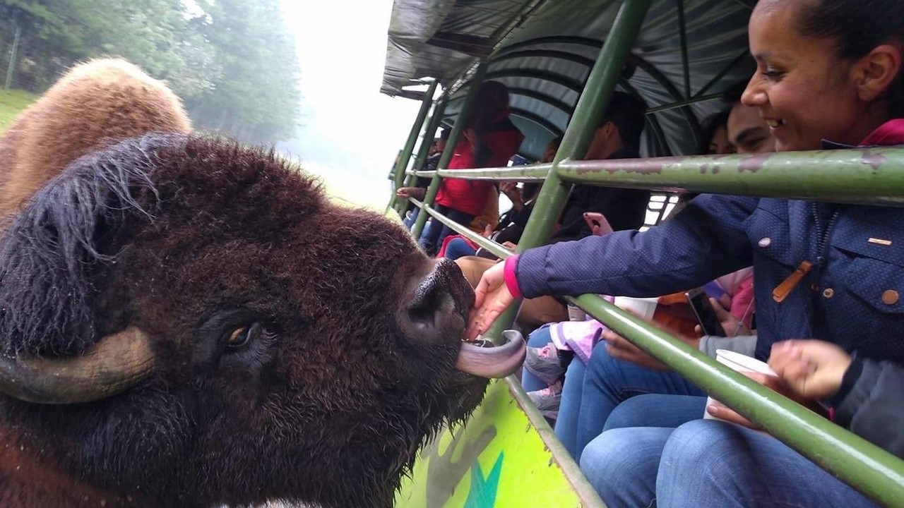 miles destinos, turismo, pasadias, transporte en ibagué, colombia