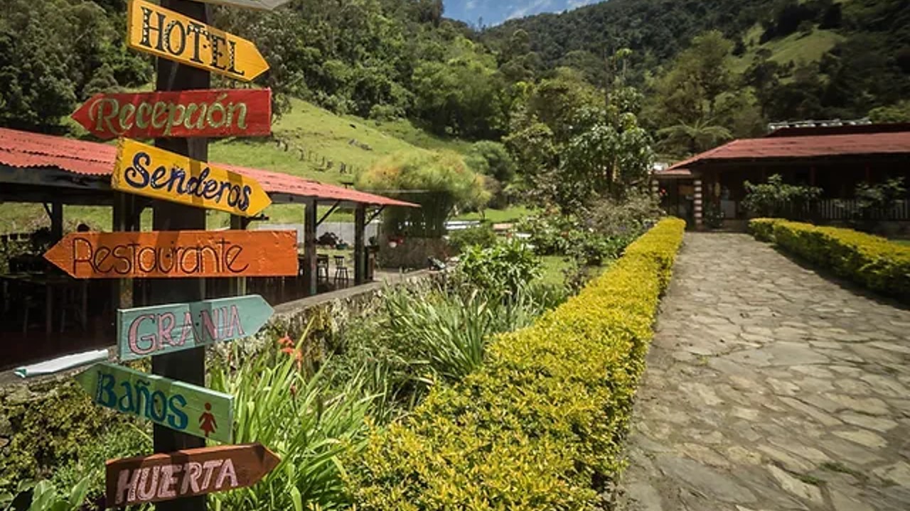 miles destinos agencia de viaje ibague , turismo, pasadias, transporte en ibagué, colombia