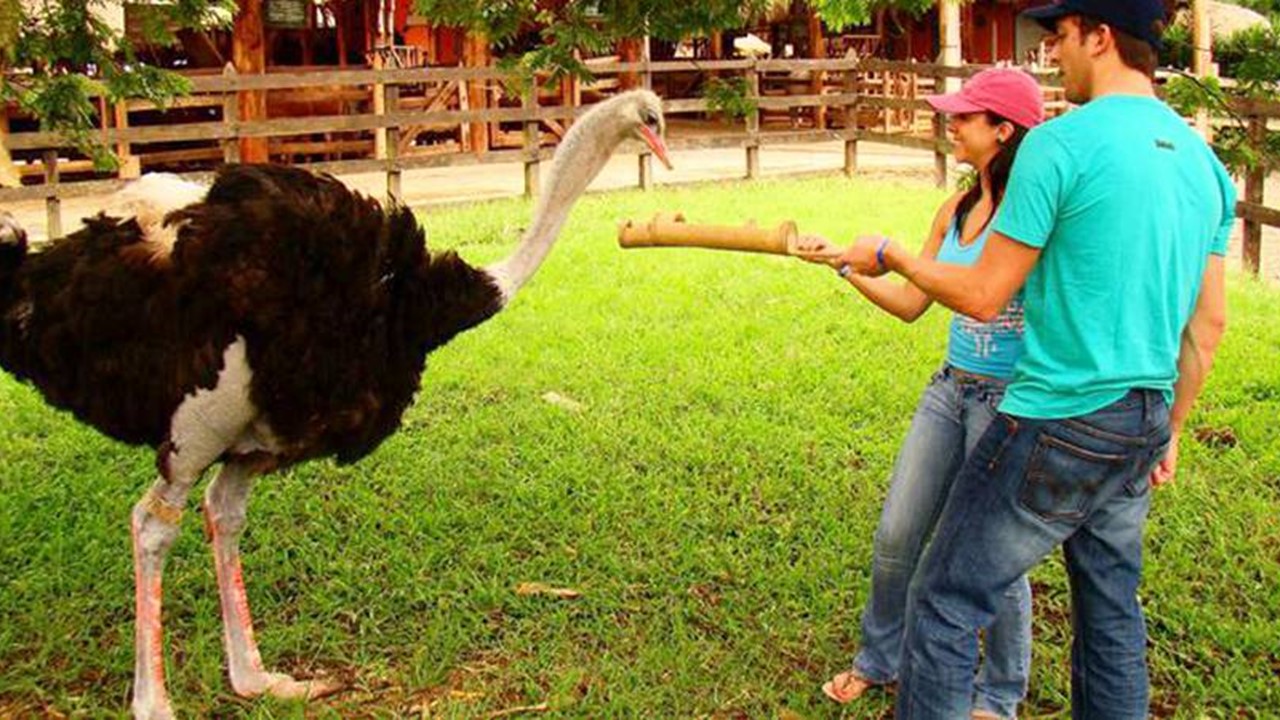 miles destinos, turismo, pasadias, transporte en ibagué, colombia