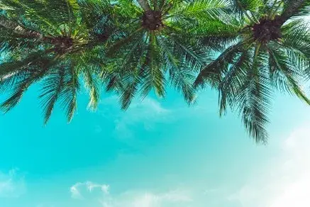 miles destinos ibague afencia de viajes pasadias colombia tiquetes hoteles y gastromonia medellin